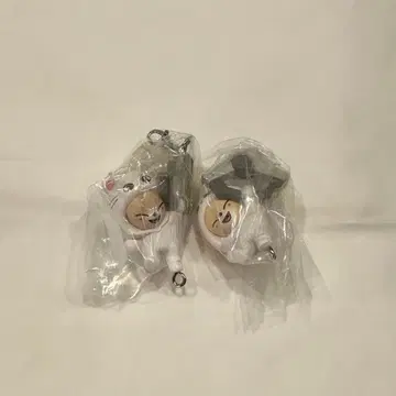 Straykids 스키즈 skzoo 츠만데츠나게테마스코토 I.N