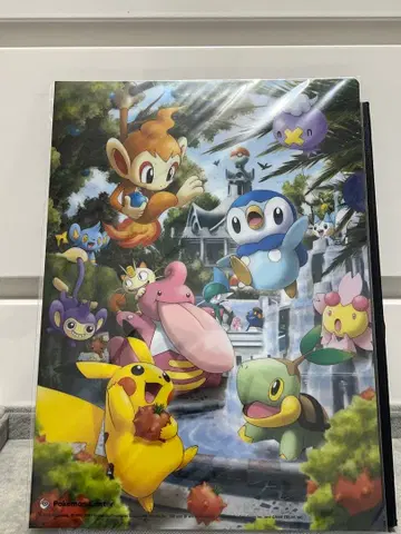 2007년 당시 포켓몬 센터 공식 A4 클리어 파일