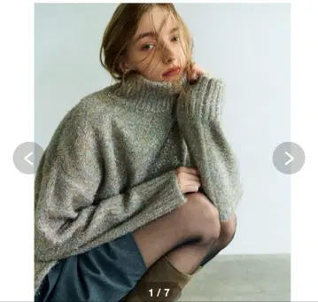 cygne 시뉴 라메 숏 니트 풀오버