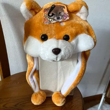 애니멀 모자 시바견 프리