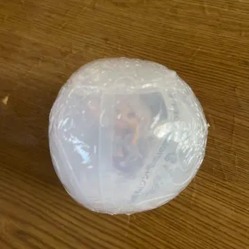 원피스 열매 보니