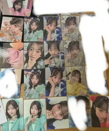 큐티 스트릿 트레카 세트