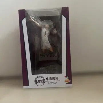 우시지마 와카토시 액션 피규어 미개봉