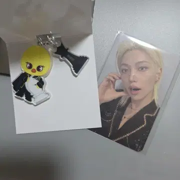 straykids 시즌 그리팅 force 아크릴 키링