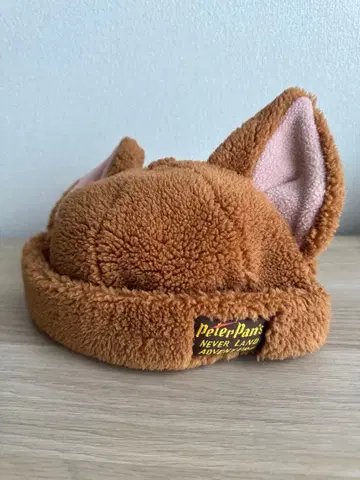 디즈니 팬캡 로스트키즈 여우