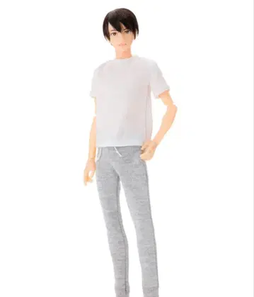 6분의 1 남자 도감 에이트 B1908 PetWORKs 새상품급