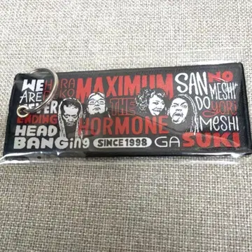 맥시멈 더 호르몬 MTH U.S. POP 플라이트 택