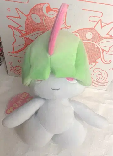 반짝반짝 박스 2026 랄토스 쫀득 봉제 인형