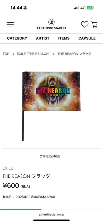 EXILE THE REASON 플래그 & 라이트 스틱