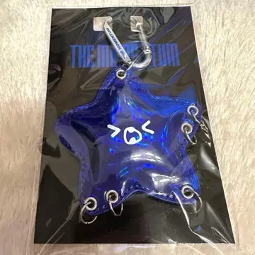 해찬 커스텀 키링 불가사리