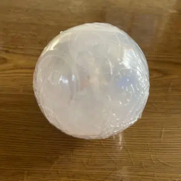 원피스 열매 보니