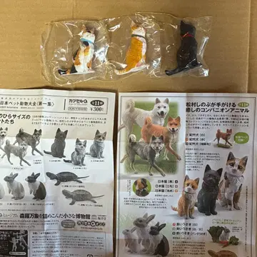 카이요도 캡슐 Q 일본 반려동물 동물 대전 고양이 3종 세트