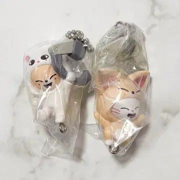 skzoo 가챠 츠마츠나 진레트 폭시니 소콘예즈