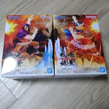 원피스 전광절경 도리 & 브로기