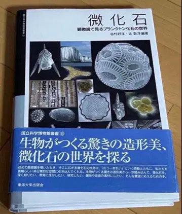 미화석 현미경으로 보는 플랑크톤 화석의 세계