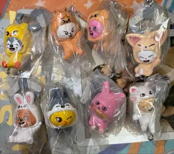 skzoo 스키즈 가챠 쭙 컴프