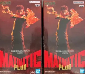 스쿠나 MAXMATIC PLUS 2개 세트