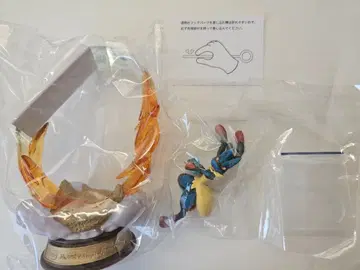 리멘트 흔들리는 포켓몬의 한때 메가 루카리오