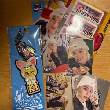 straykids TOYWORLD 포가리 자수 키링 혜택 트레이딩 카드