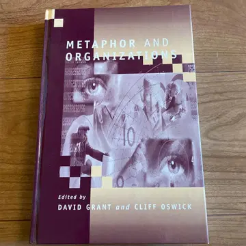 Metaphor and Organizations