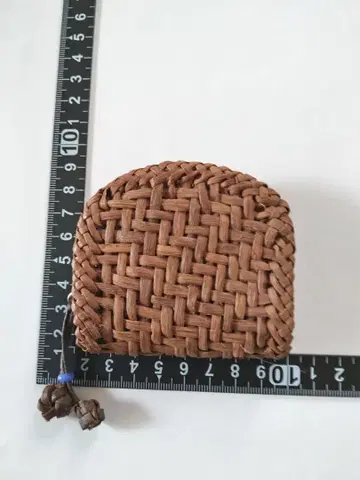 산포도의 동전 지갑