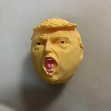 트럼프 대통령 같은 스퀴즈