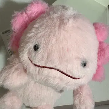 굼벵이 우파루파