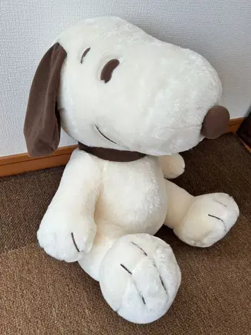 스누피 브라운 앉아