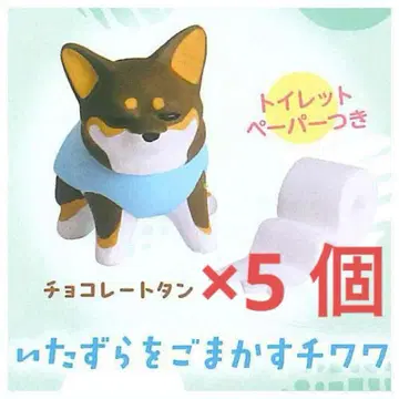 낱개 판매 가능 치와와 라이프 초콜릿탄 장난을 속이는 치와와