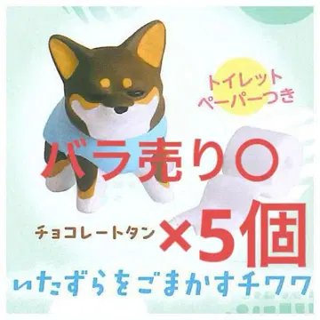 낱개 판매 가능 치와와 라이프 초콜릿탄 장난을 속이는 치와와