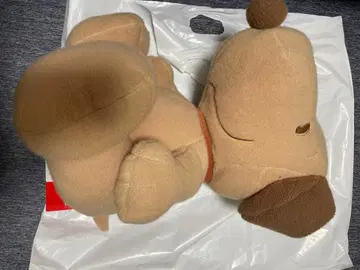 스누피 모코후와 브라운