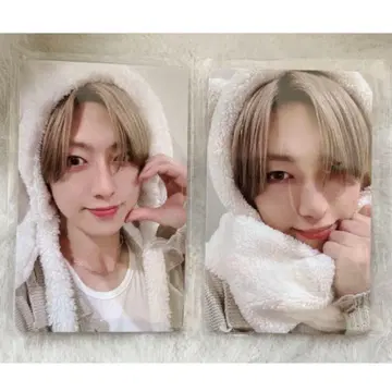 &TEAM 설백 FUMA 복슬복슬 애니멀 트레이딩 카드 세트