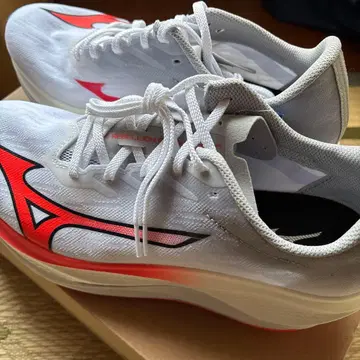 Mizuno Wave Rebellion Flash 3 27.5cm