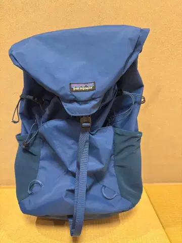 Patagonia 백팩 파랑 S 사이즈