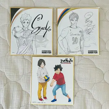 하이큐 색지 묶음 판매 히나타 카게야마 연마 검은 꼬리