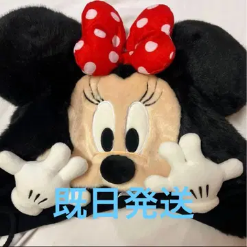 디즈니 미니 팬캡