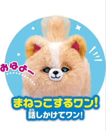 아가츠마(AGATSUMA) 원더키미는!? 움직이는 봉제 인형 흉내쟁이