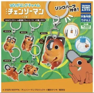 츠나구 반지 참 포치타