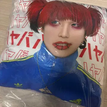 코도모 드래곤 하야토 생탄제 쿠션