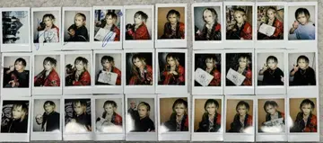 Royz 단체 폴라로이드+스바루 씨 폴라로이드