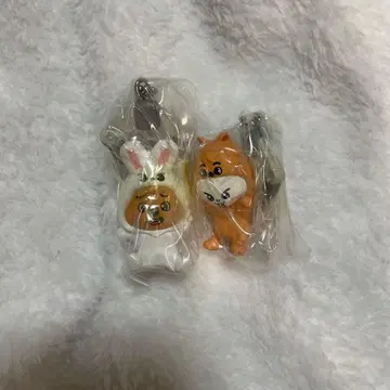 SKZOO 꼬옥꼬옥 누르고 이어폰 2 리노 한 리비트 한쿼카