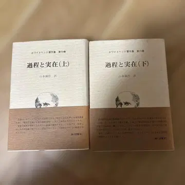 적정과 실재 (상) & (하)