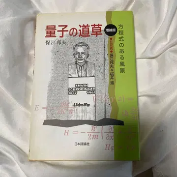 양자 도약 방정식이 있는 풍경 야스에 쿠니오