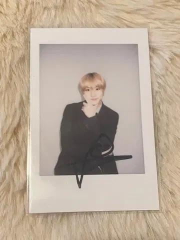 ENHYPEN 정원 daydream 마카오 ar 카드 트레이딩 카드