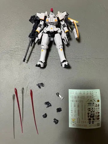 RG 토르기스 프라모델