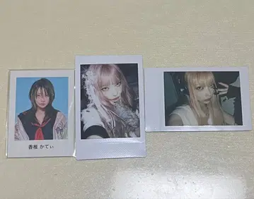 카시 카티 폴라로이드 스티커