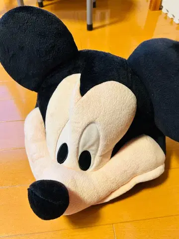 디즈니 미키 팬캡