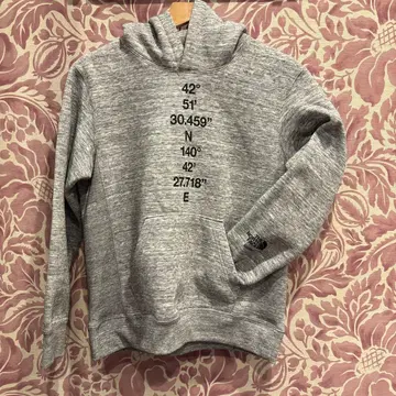 THE NORTH FACE NISEKO 후드티 그레이