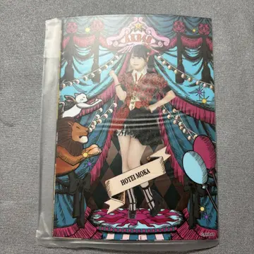 AKB48 의상전 도쿄 다이마루 브로마이드 세트 호테이 모모카