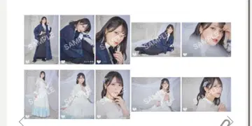 사사키 마이카 생탄 2023 브로마이드 세트 몰라